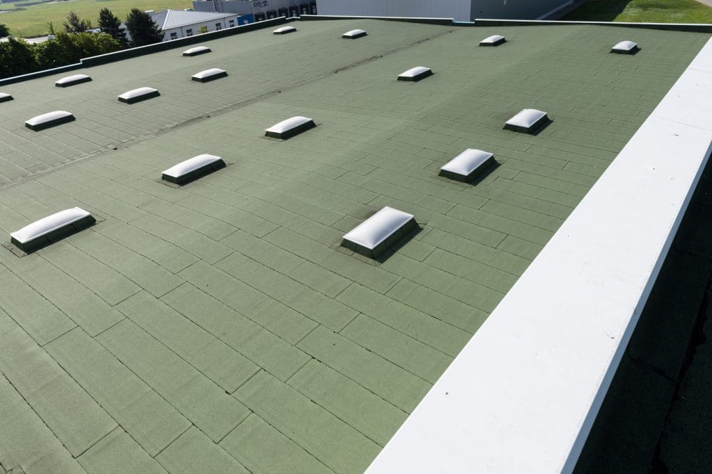 tauben-loswerden-mit-taubenspikes